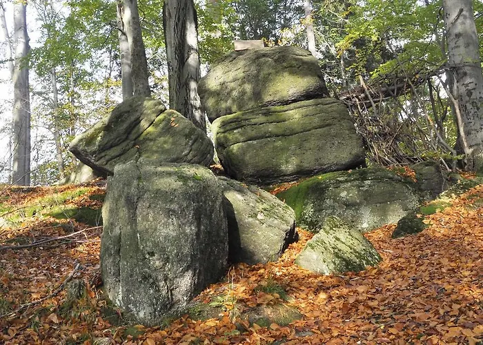 Сasa de vacaciones Space