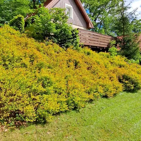 Space Holiday home Szklarska Poreba