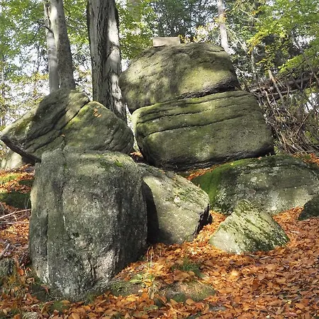 Дом отдыха Space