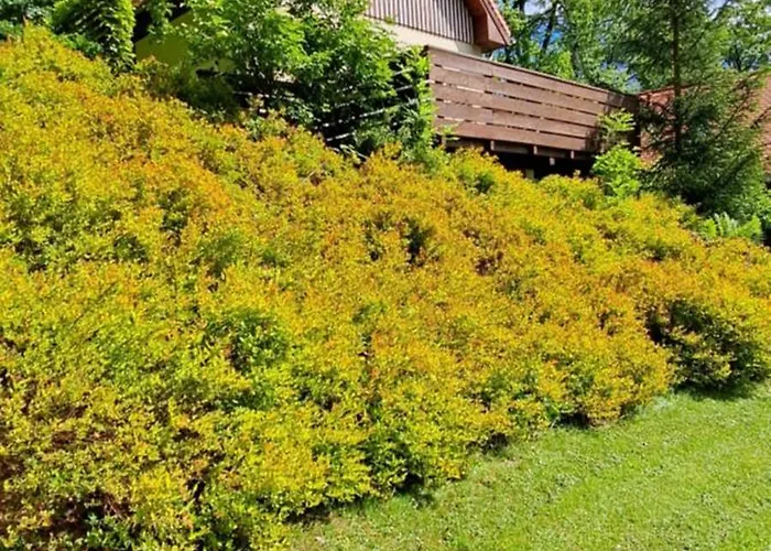 Space Дом отдыха Шклярска-Поремба